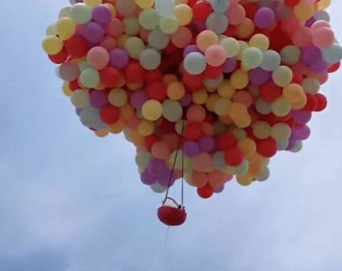 河南景区“气球送兔”惹争议 创意营销还是动物虐待？